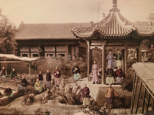 Forbidden City Tea - Our Second Tea Collection