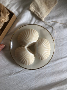Mini Shell Soaps - Gift Box